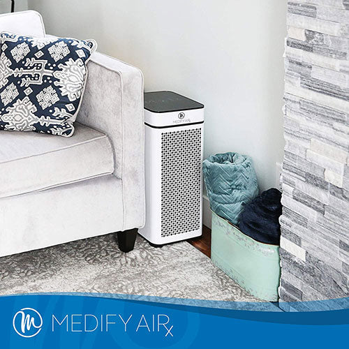 large air purifier for living room