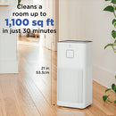 MA-50 Air Purifier with UV Light